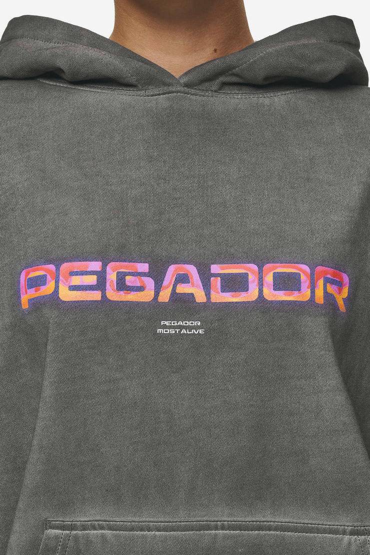 Pegador Lui Sprayed Oversized Hoodie Oil Dyed Deep Grey Fabrikpreis