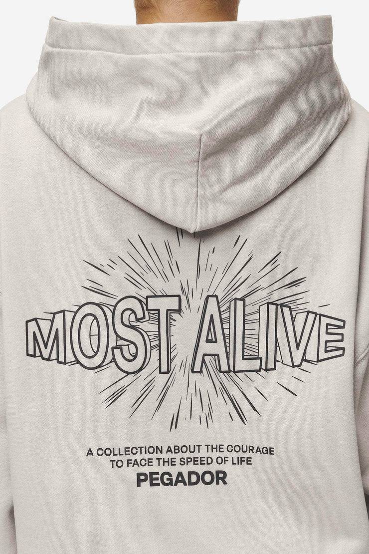 Pegador Nisa Oversized Hoodie Washed Moon Grey Hotsell