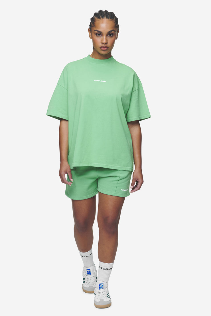 Pegador Bracy Heavy Oversized Tee Washed Peppermint Green White Gum Verkauf