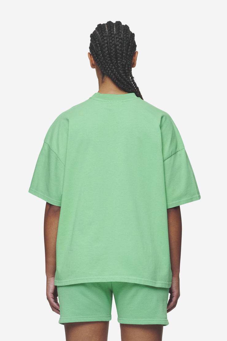 Pegador Bracy Heavy Oversized Tee Washed Peppermint Green White Gum Verkauf