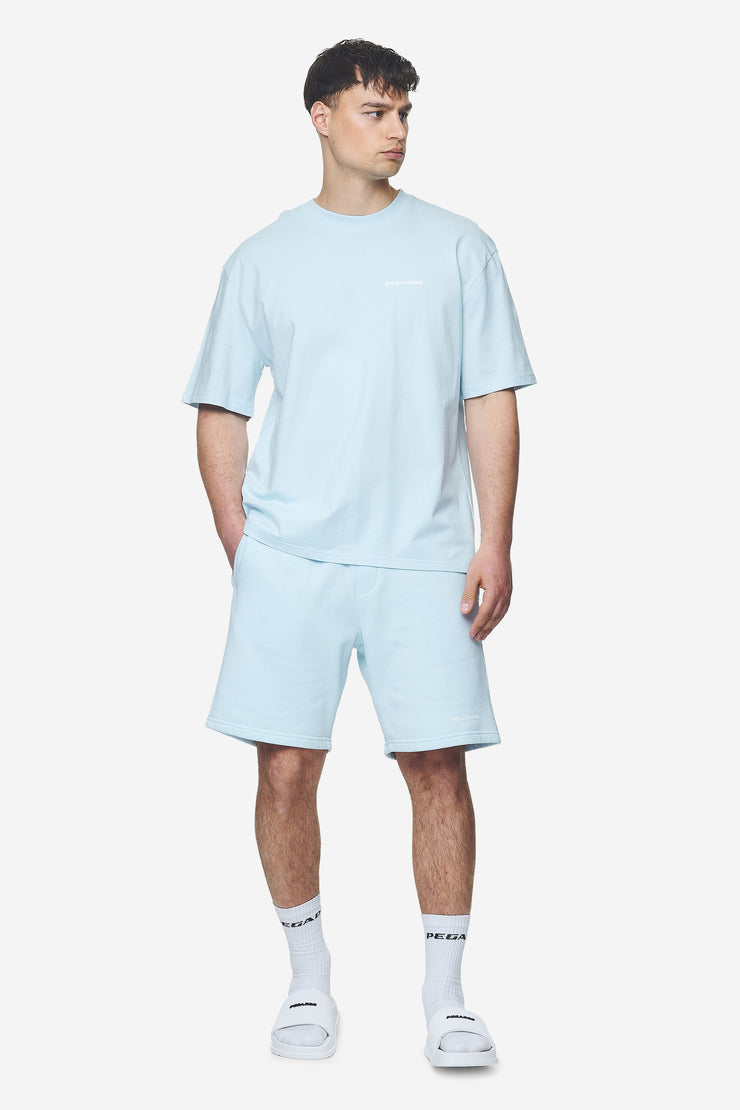 Pegador Logo Oversized Tee Washed Baby Blue White Gum Saisonschlussverkauf