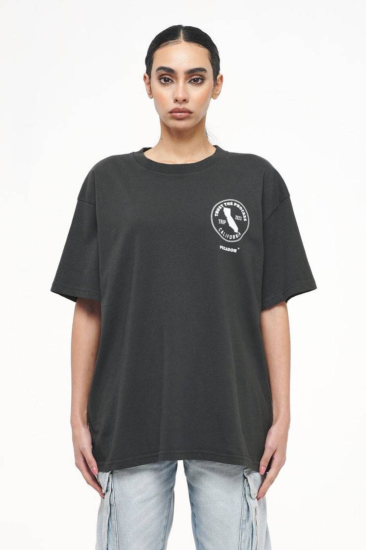 Pegador Jay Oversized Tee Vintage Washed Iron Grey Neueste Stile