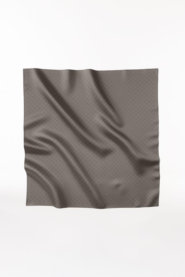 Prinz Berlin Seidentuch Illusion 123 Taupe Online Shopping