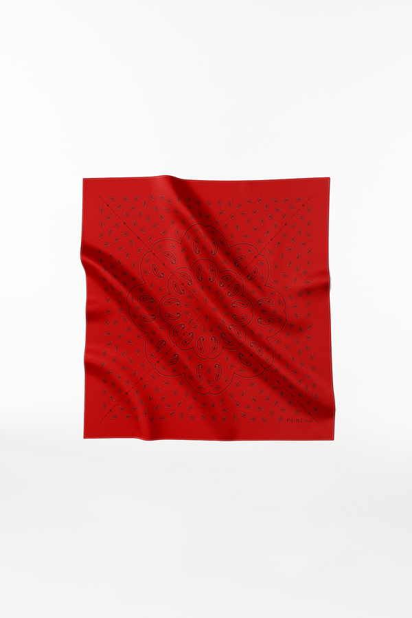 Prinz Berlin Seidentuch Paisley 90 Rot Online Outlet