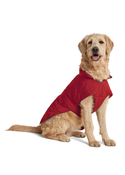 Riani HUNDEMANTEL