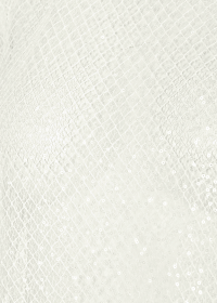 Riani TRANSPARENTE BLUSE MIT STEHKRAGEN Begrenzte Freigabe