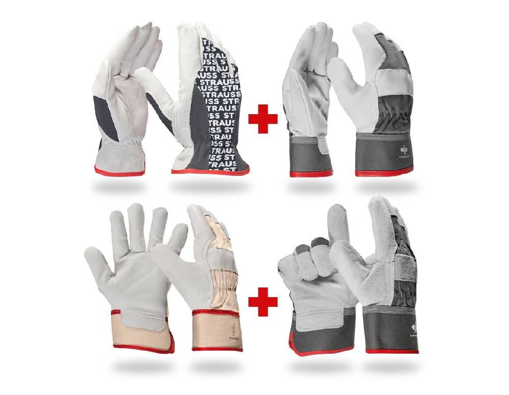 Strauss Handschuh- Profi Set Leder Tiefpreis