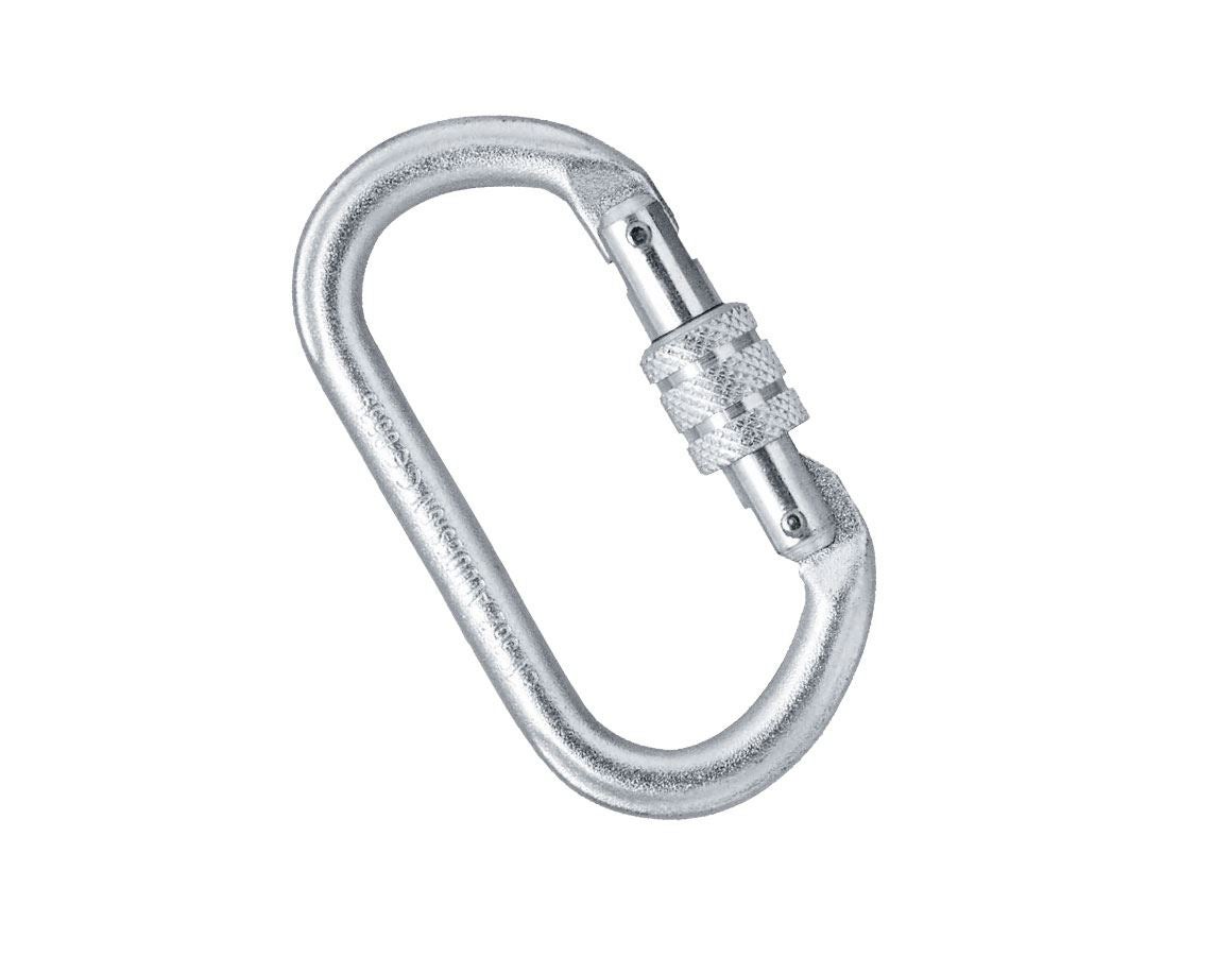 Strauss Schraubkarabiner Oval l 50% Rabatt für begrenzte Zeit