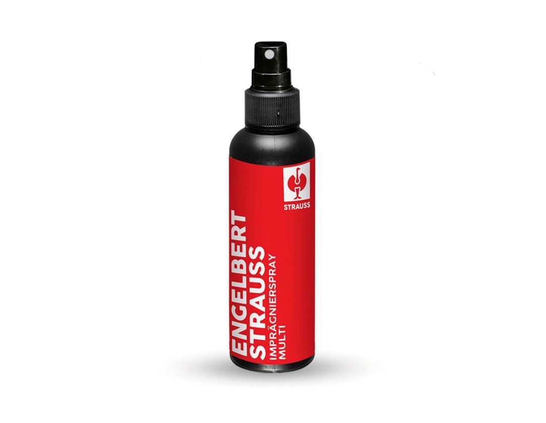 Strauss e.s. Schuh-Imprägnierspray multi